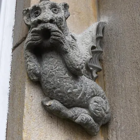 Spacious Victorian Townhouse Near Hcc With Off Street Parking